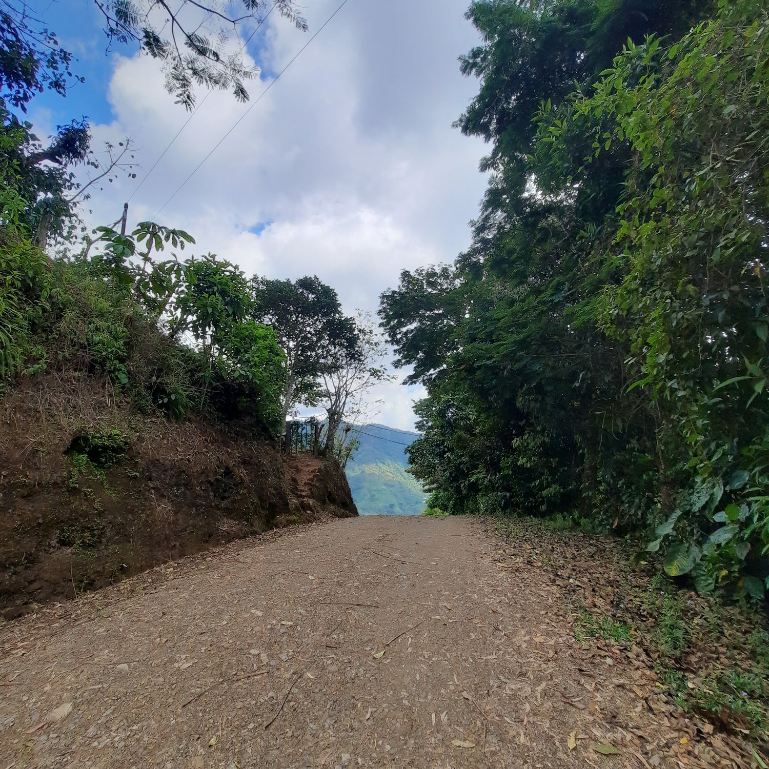 La Fin Du Chemin À Pueblo Nuevo (Calle Tirrà)