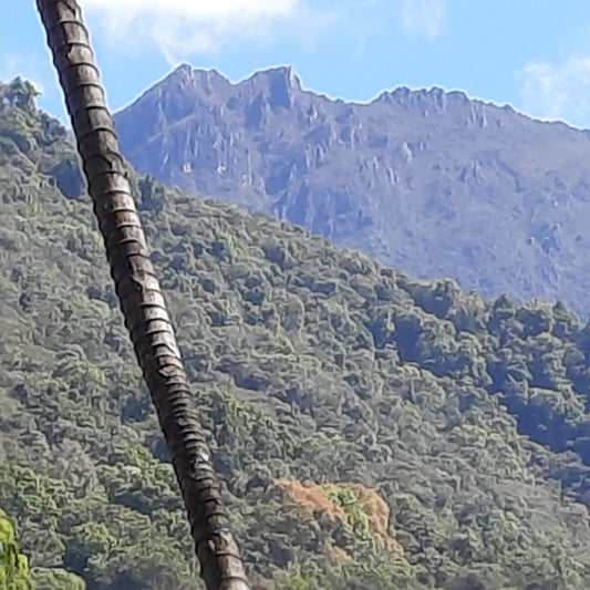 Parc National Du Cerro Chirripo (Parque Nacional Chirripo)