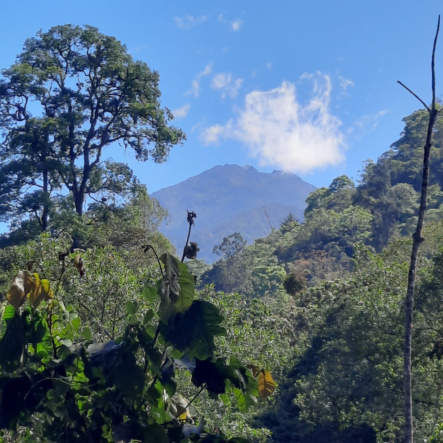 Parc National Du Cerro Chirripo (Parque Nacional Chirripo)