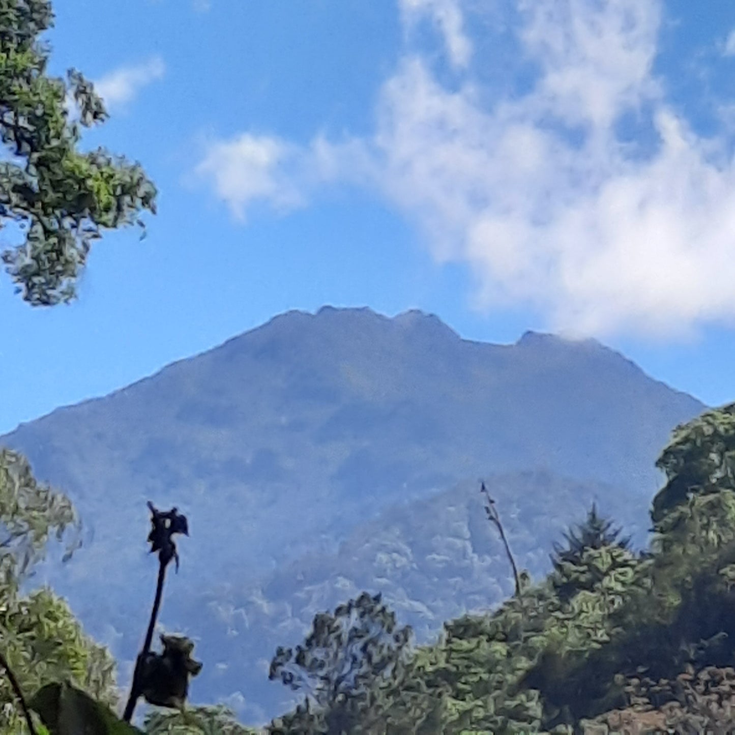 Parc National Du Cerro Chirripo (Parque Nacional Chirripo)