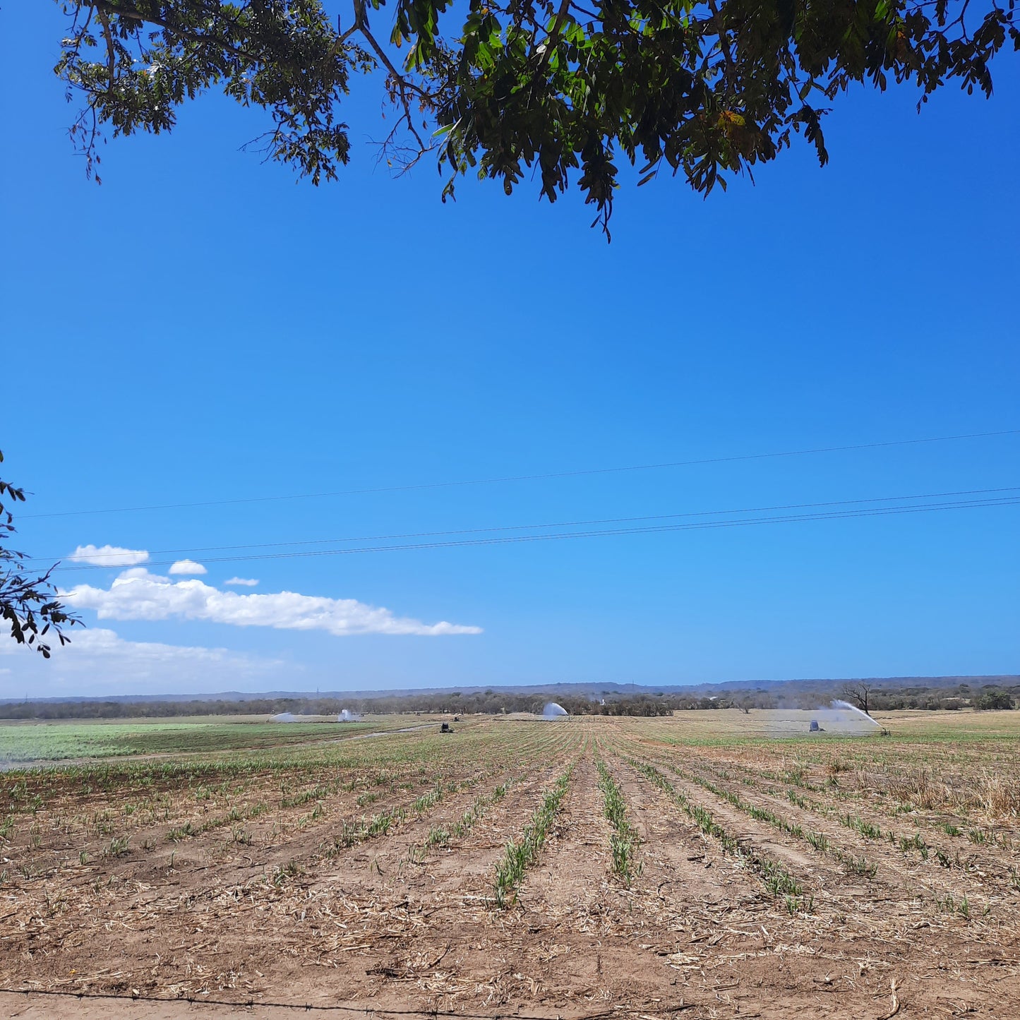 Un Petit 118 Km Pour Aller De Santa Cruz À La