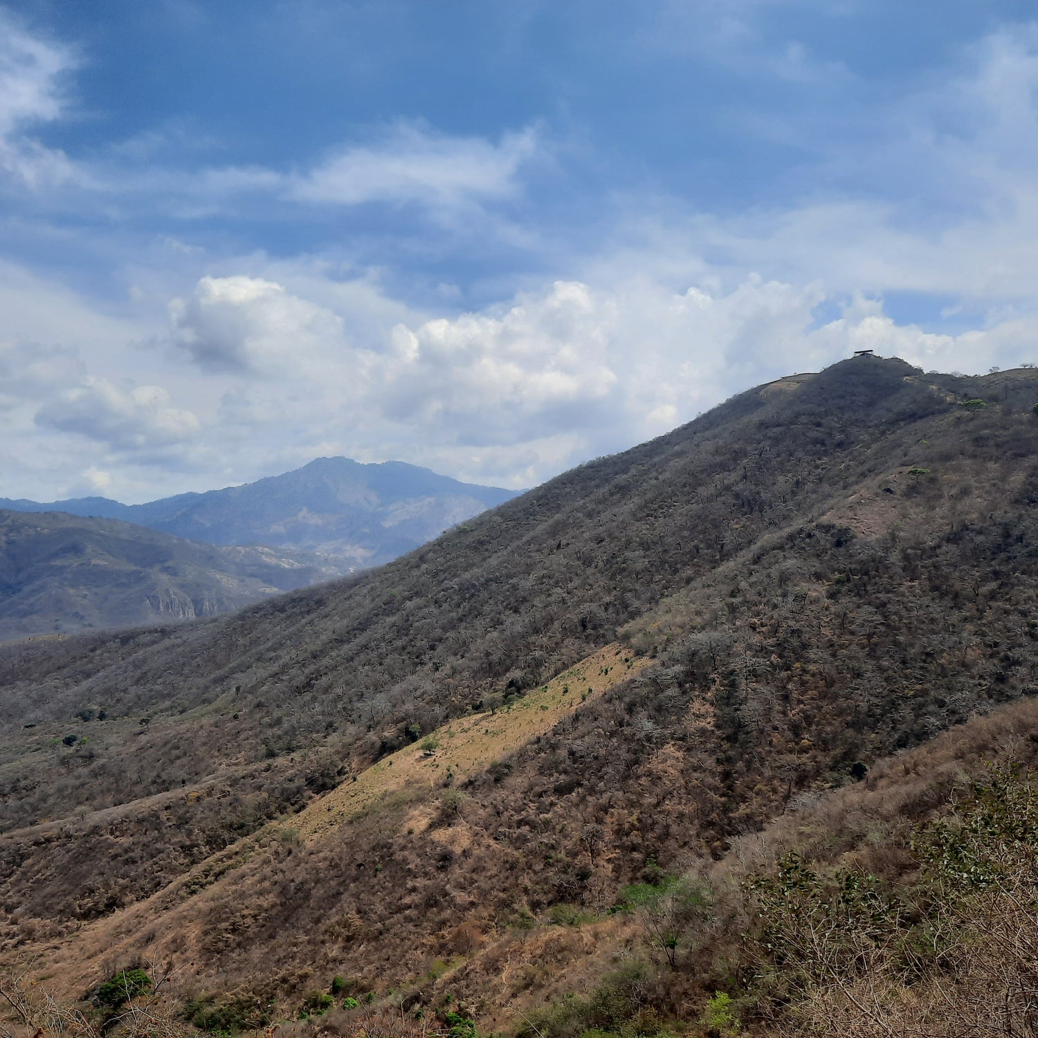 Zacapa (Guatemala)