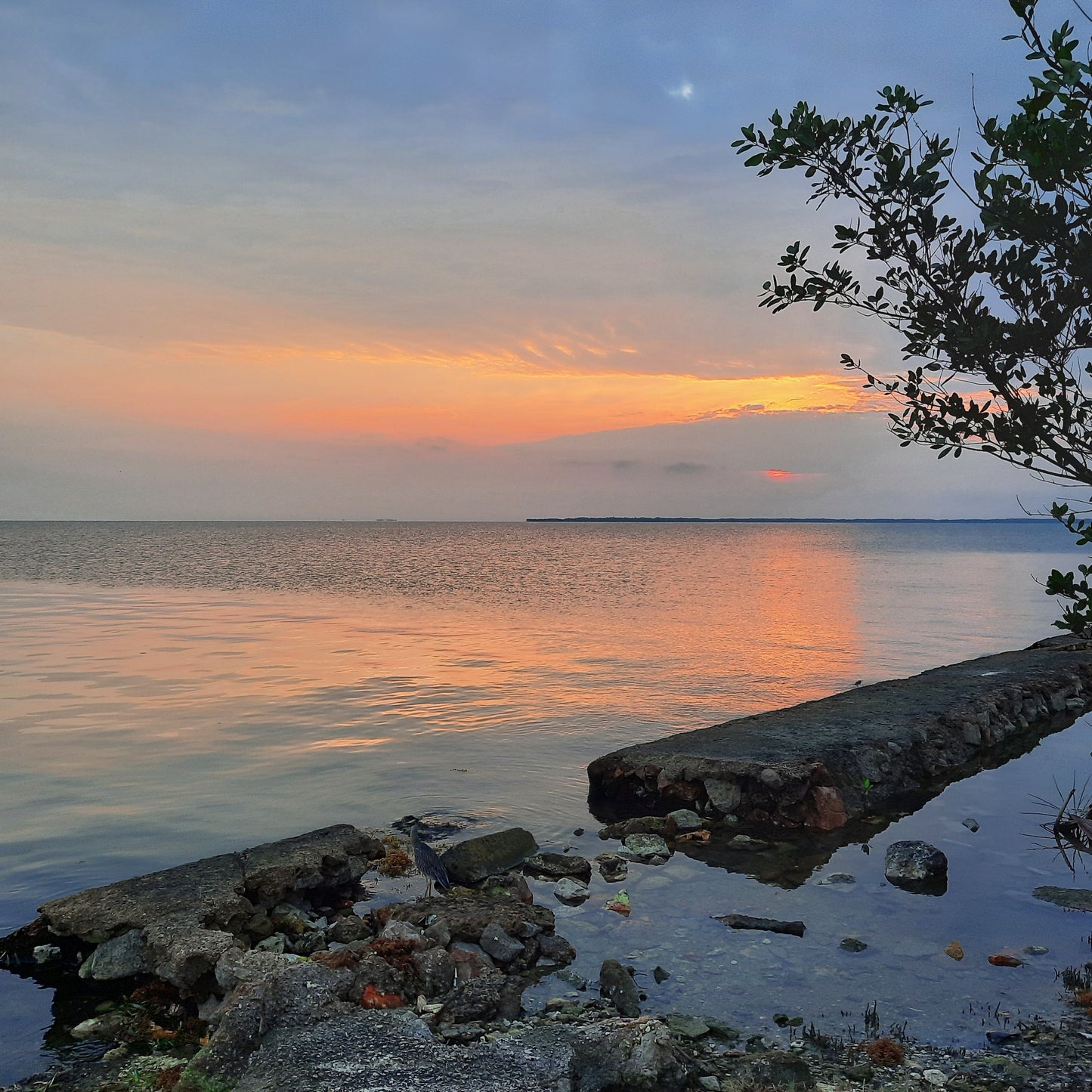 2023-03-19 Lever De Soleil Belize City