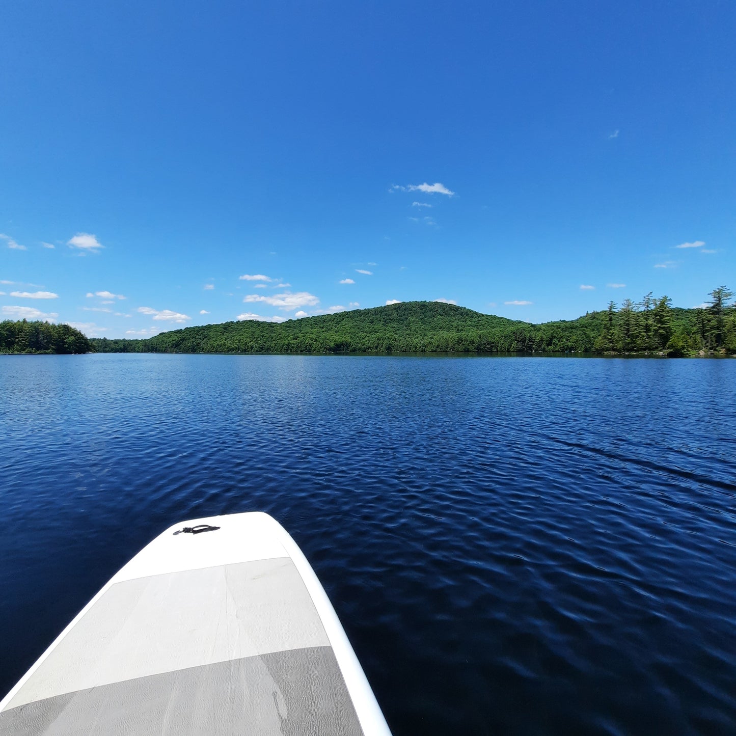 Paddle Board