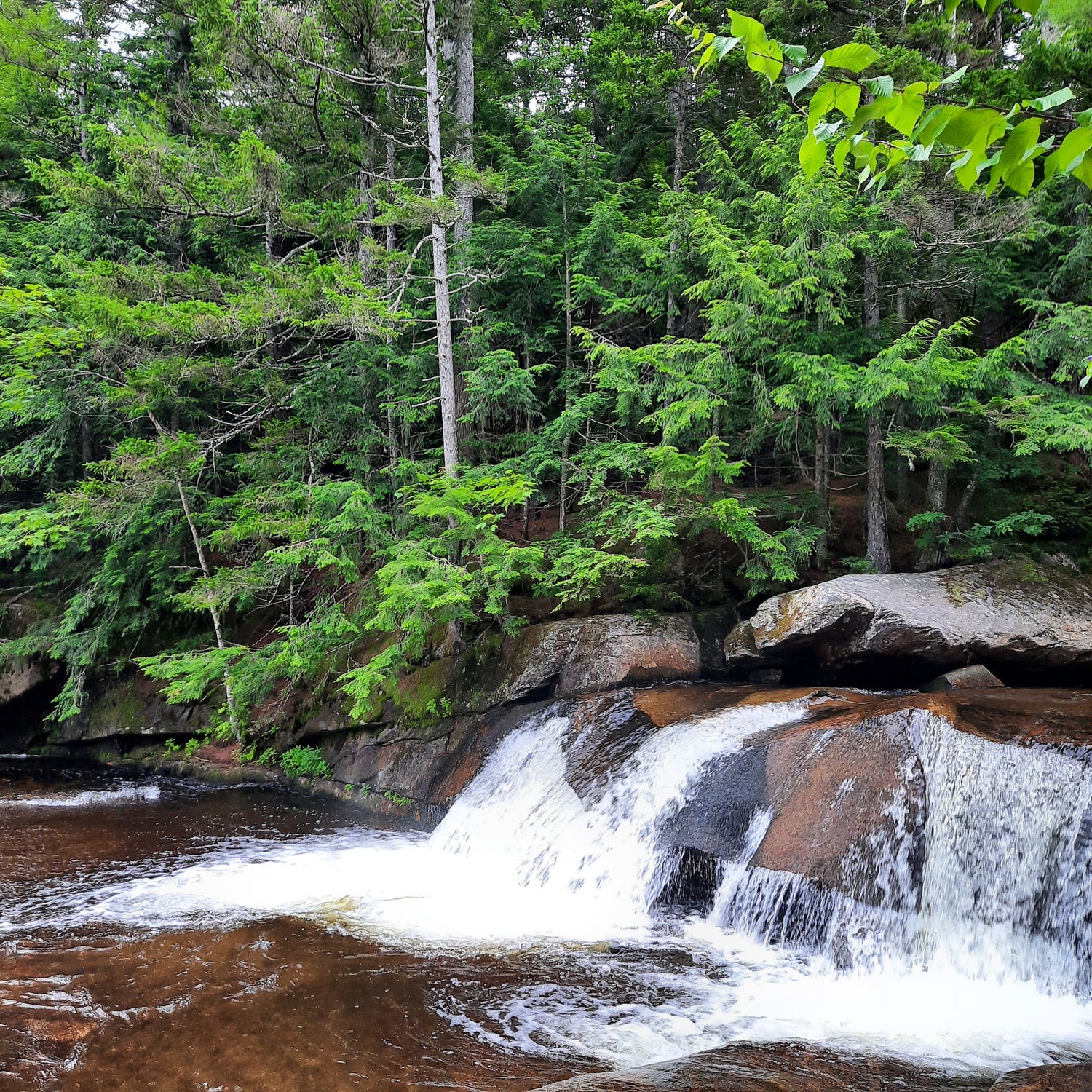 Screw Auger Falls Maine (Usa)