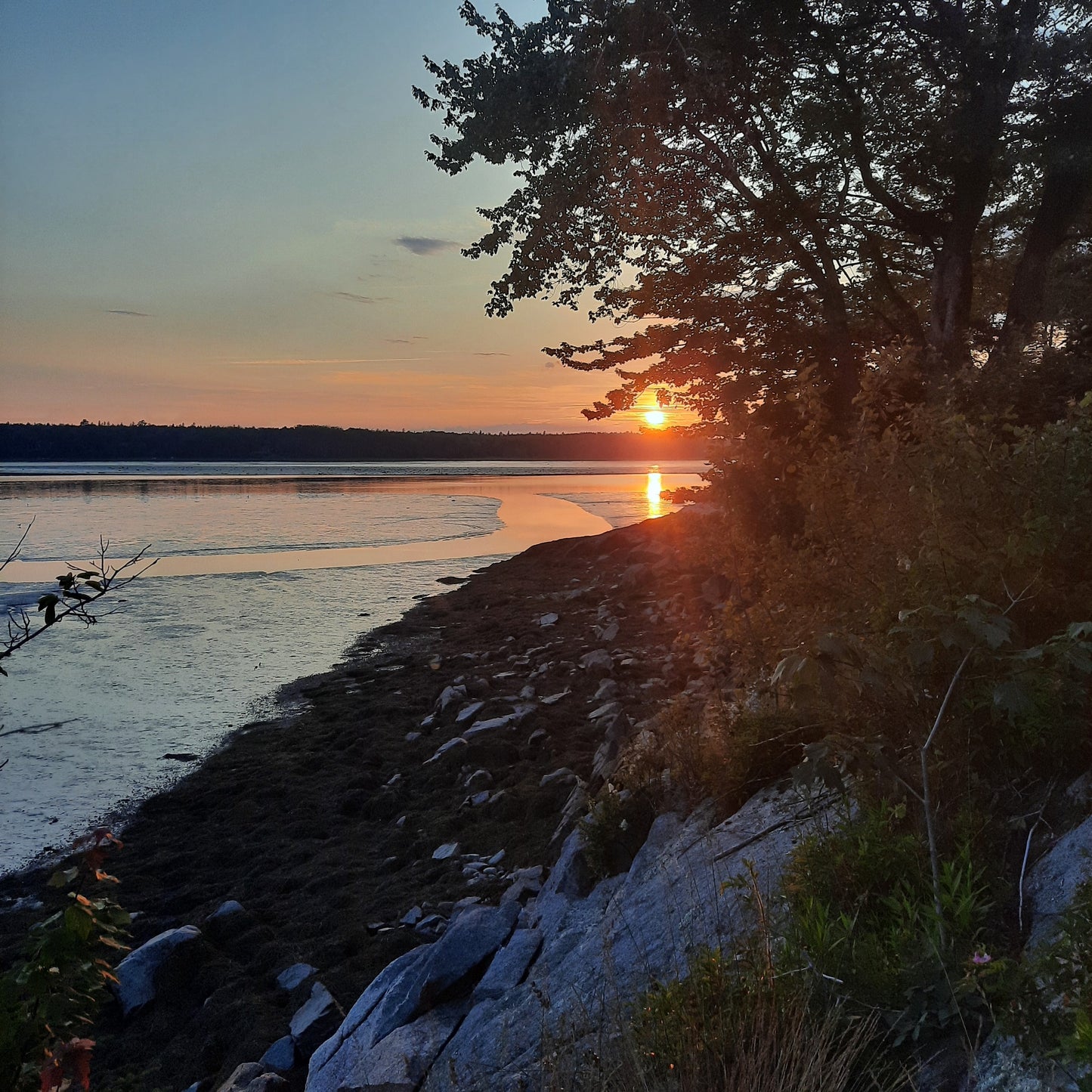 Voyage À Old Orchard Et Bar Harbor 2023