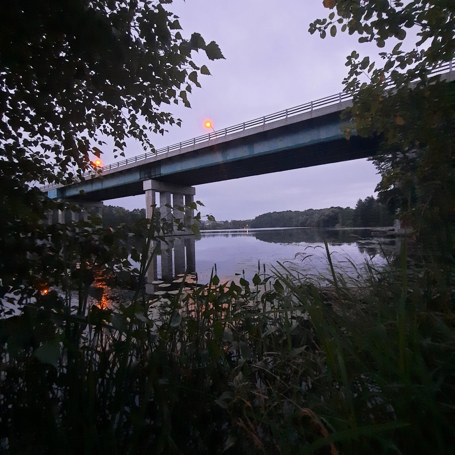 2023-08-21 Le Pont Jacques-Cartier (Vue K1)