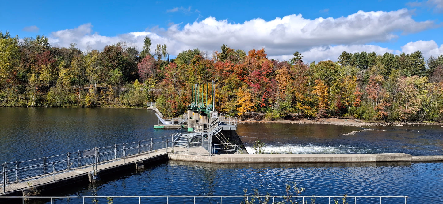 2024-09-29 12:00 Barrage Drummond sur la rivière Magog à Sherbrooke