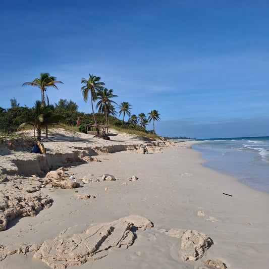 Plage du Blau Arenal Havana Beach