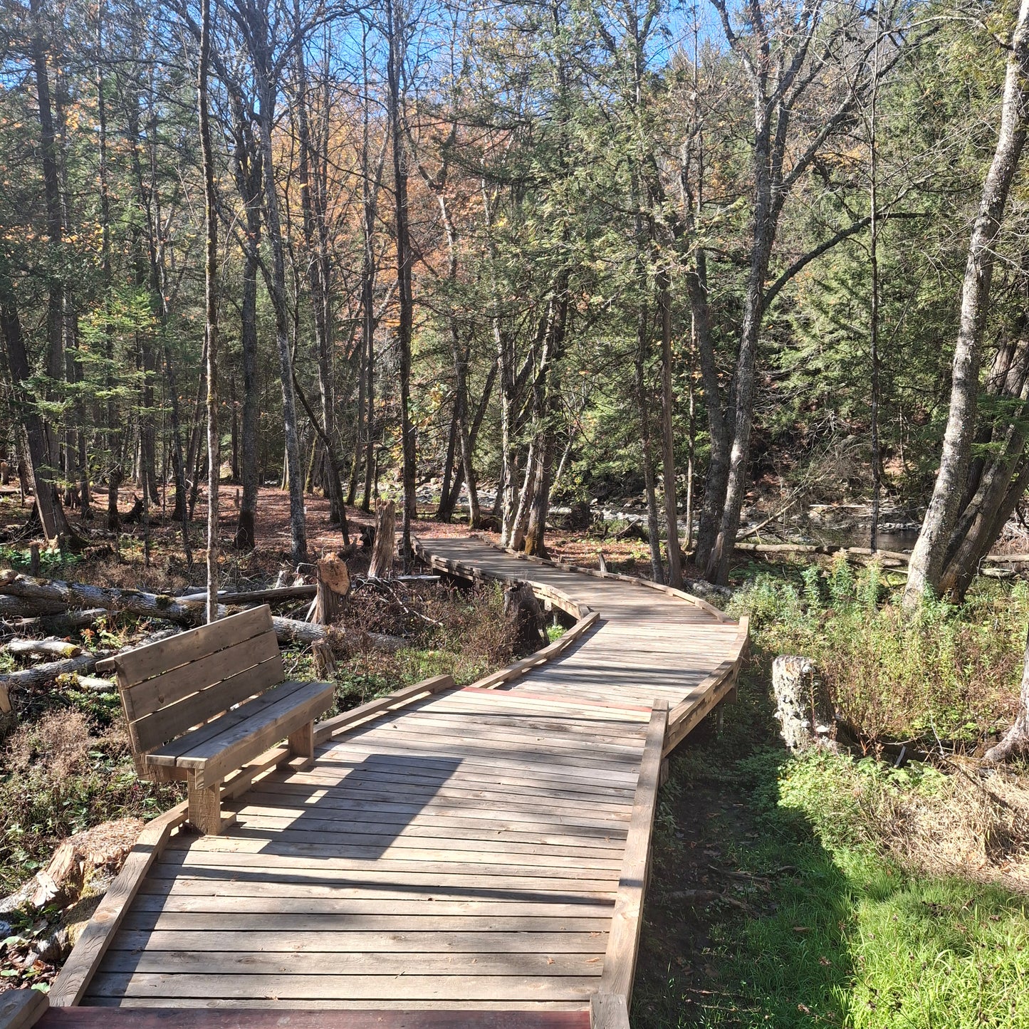 Parc des chutes Burroughs