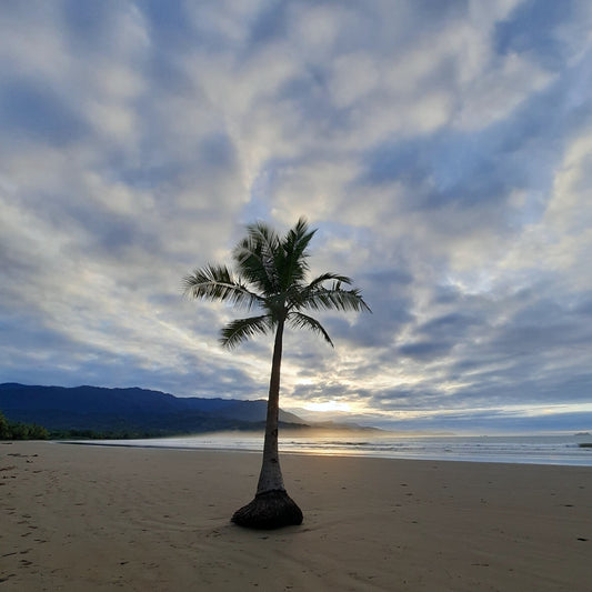 18 - Playa Uvita Costa Rica