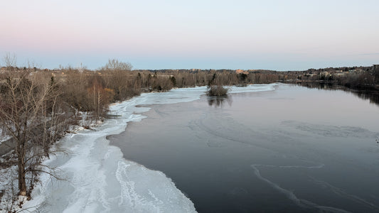 2026-03-28 (Vue Sureo)