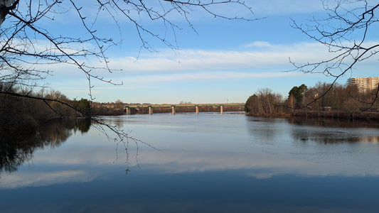 2026-04-18 6:38 (Vue 2)