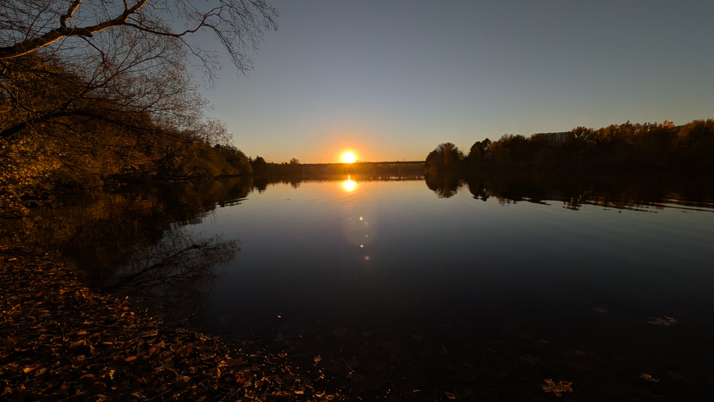 2026-10-21 17:31 (Vue 1)