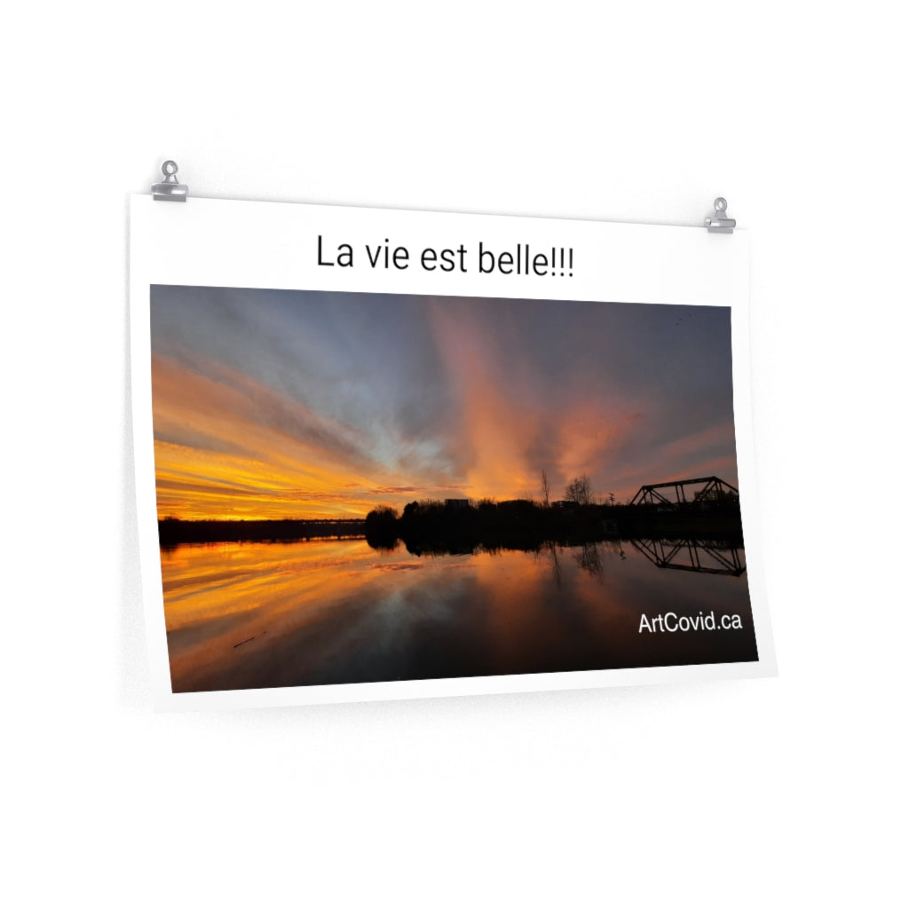 Poster Artcovid.ca 36″ × 24″ / Cg Matt