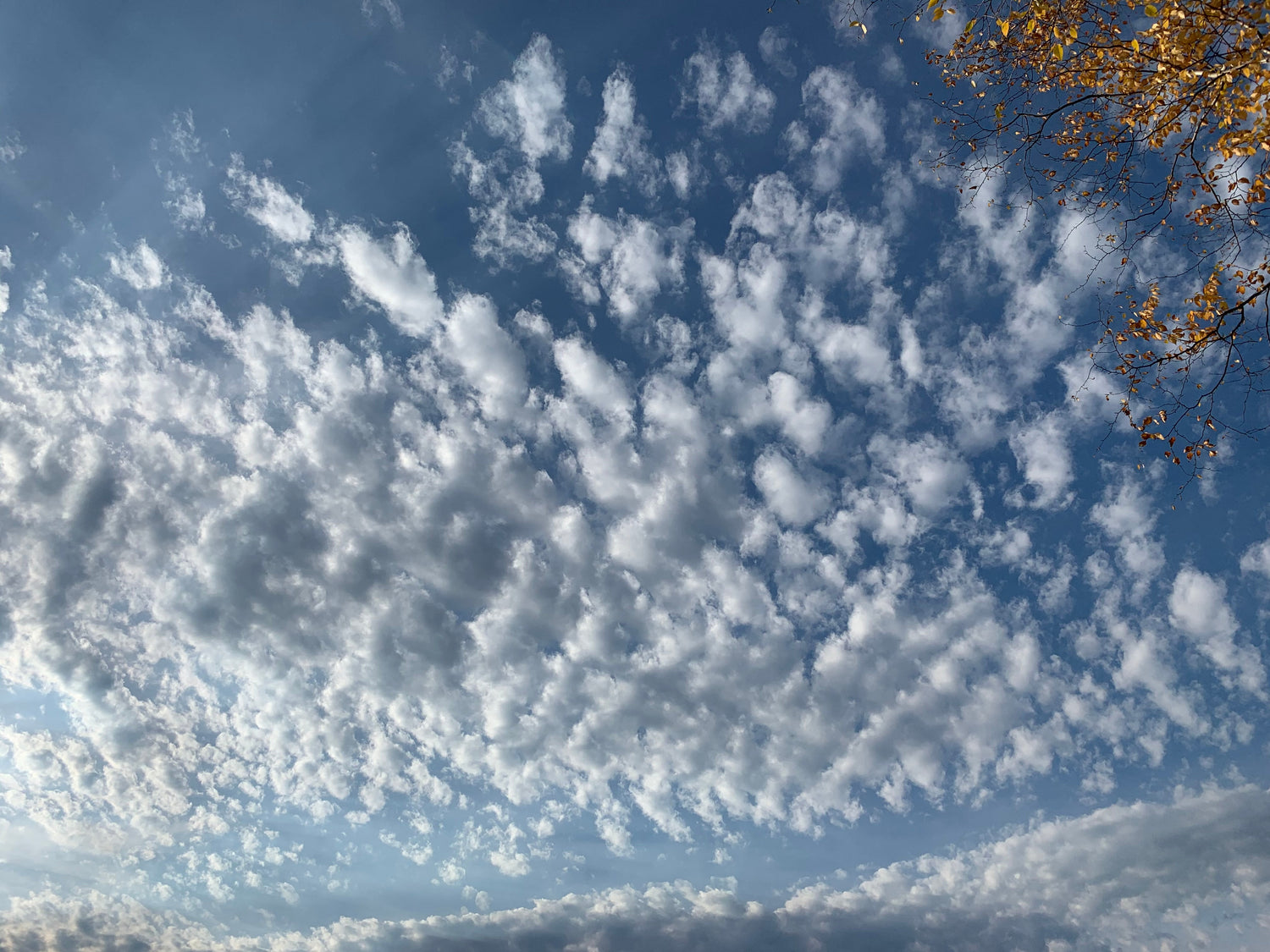 Les Nuages - La Beauté Est Dans Les Détails