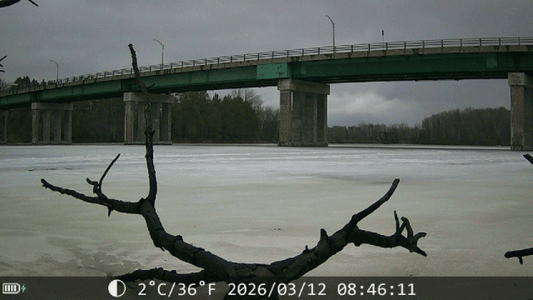 Trouve la caméra de chasse